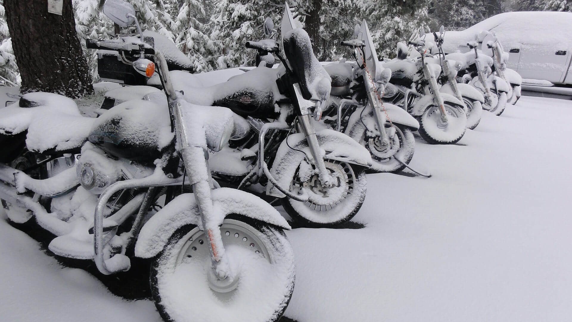 ÜBERWINTERN IM WINTERLAGER
